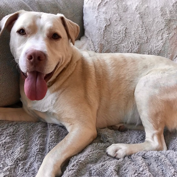 Meet your Posher, Tracy - Picture 1 of 1